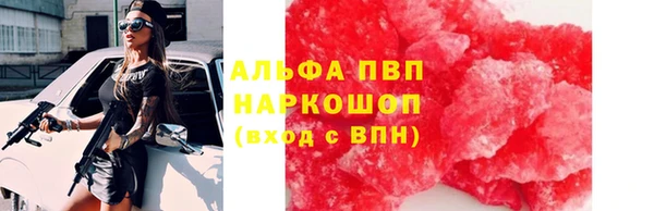стаф Абинск